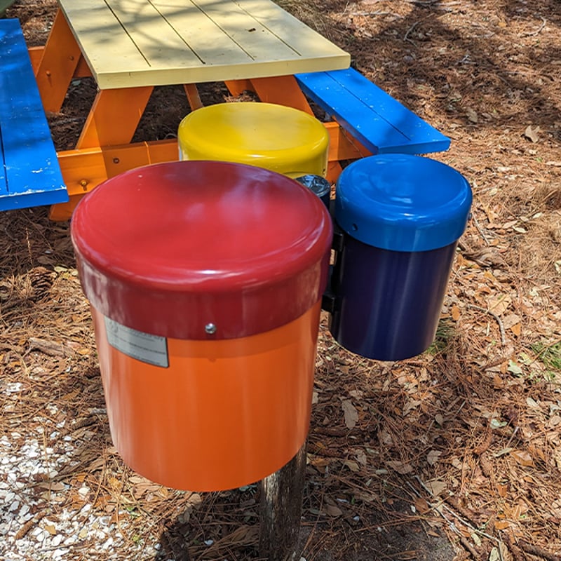 Palm Harbor Library's Outdoor Music Garden Fosters Future Musicians of All Ages and Abilities Post-Covid preview 2